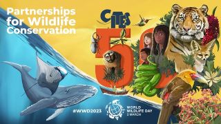 Global Partnership for Wildlife Conservation Receives a Boost
